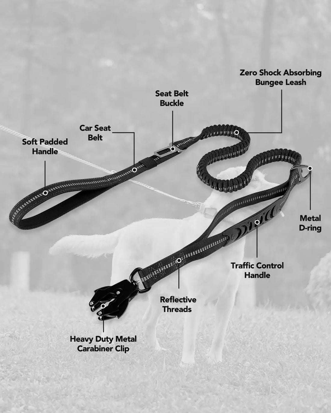 Bungee Dog Leash for Medium & Large Dogs