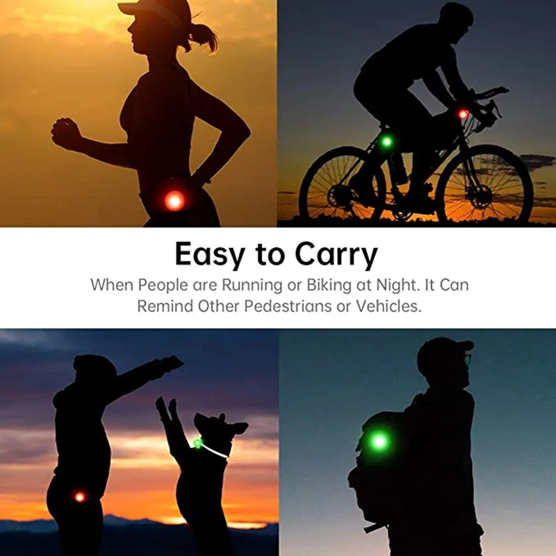 USB Rechargeable LED Dog Collar Pendant