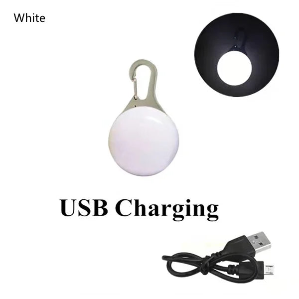 USB Rechargeable LED Dog Collar Pendant