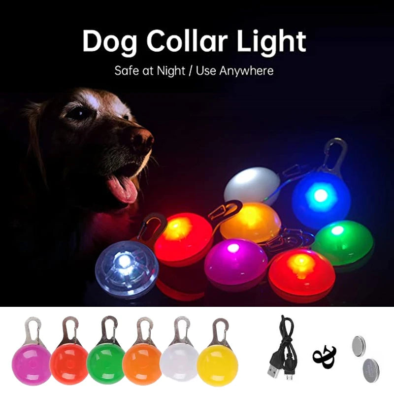 USB Rechargeable LED Dog Collar Pendant