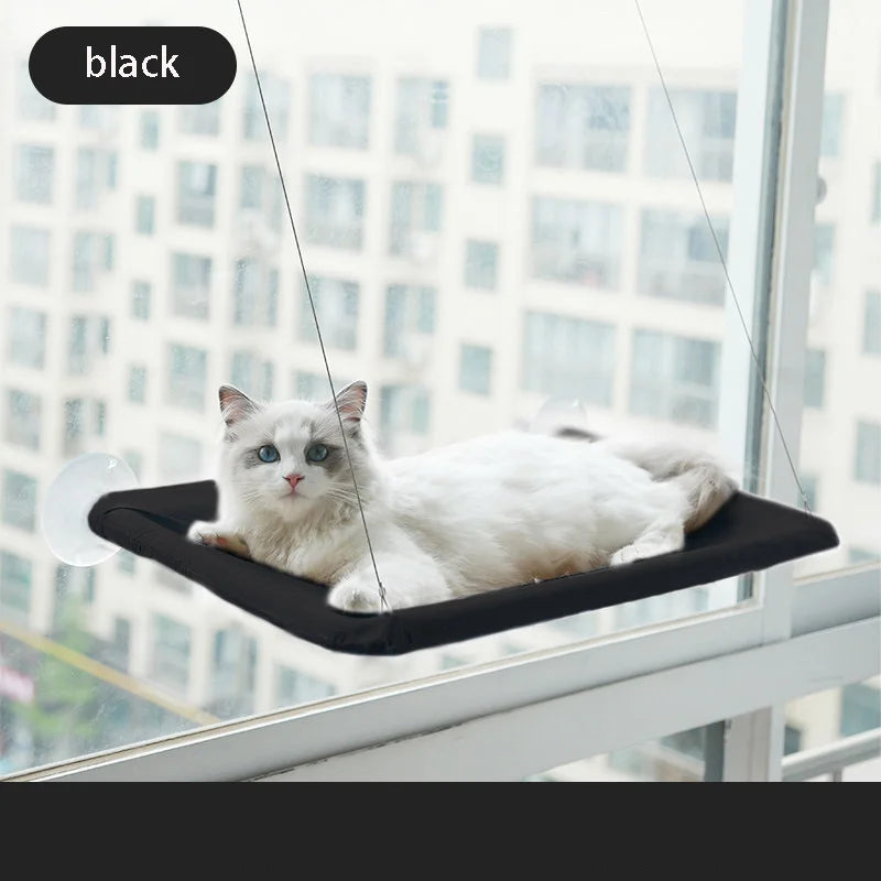 Cat Window Hammock Bed