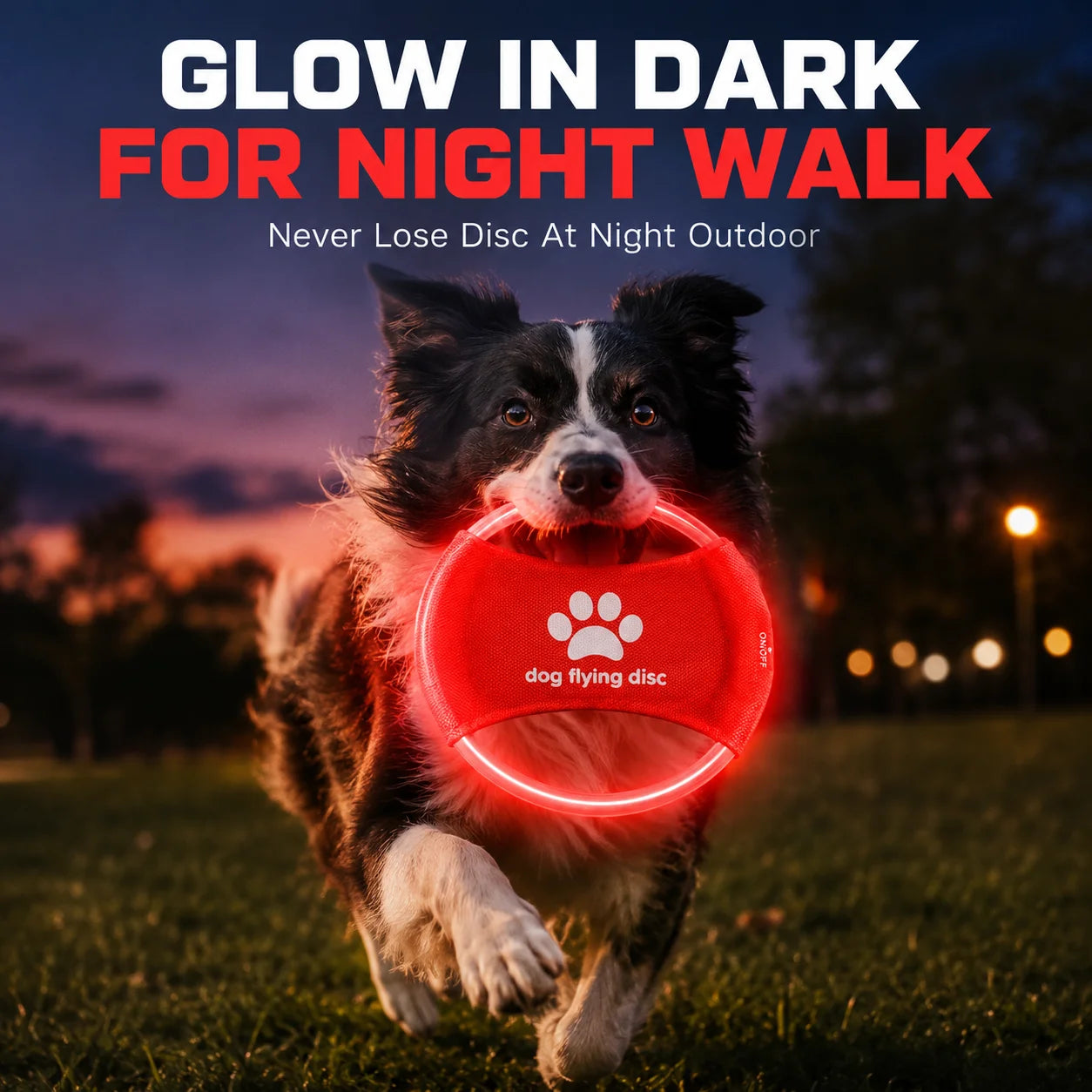 LED Glow Dog Flying Disc