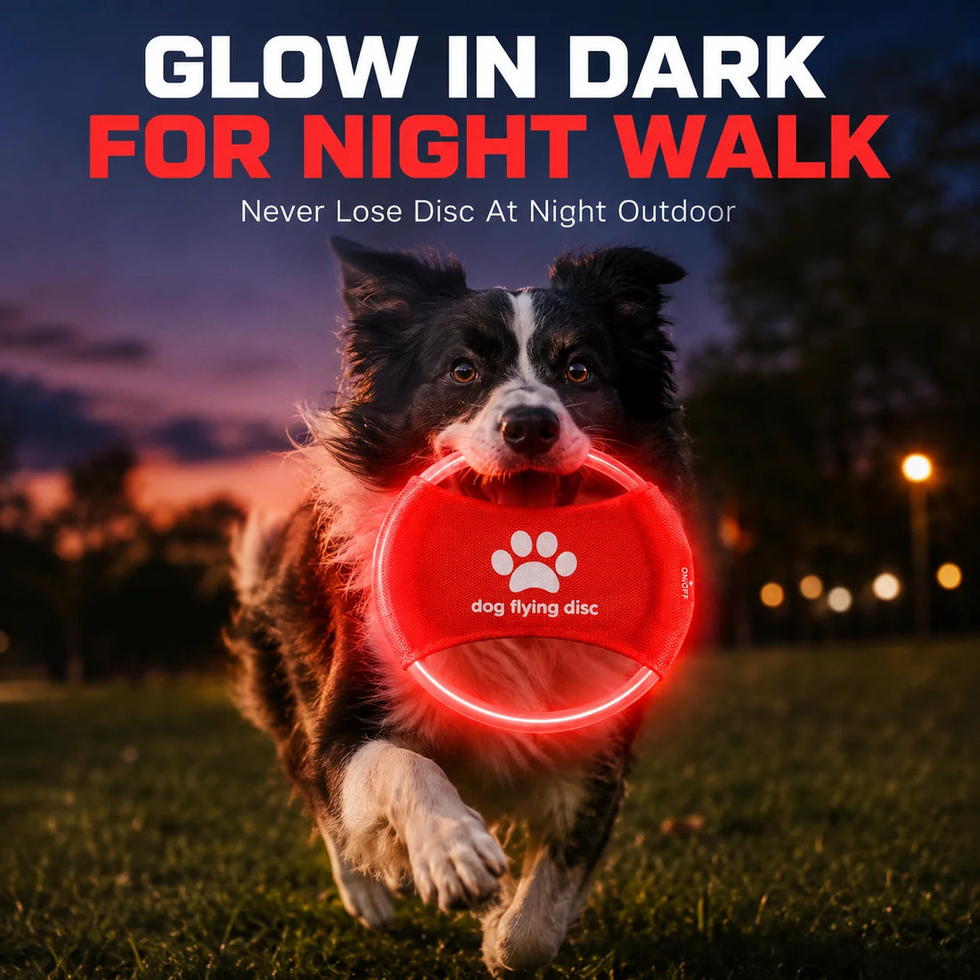 LED Glow Dog Flying Disc