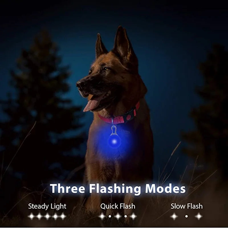 USB Rechargeable LED Dog Collar Pendant