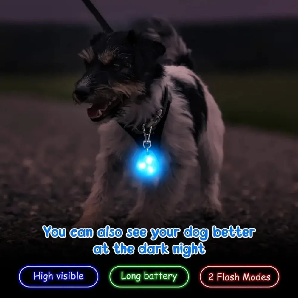 Waterproof LED Dog Collar Light