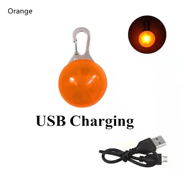 USB Rechargeable LED Dog Collar Pendant