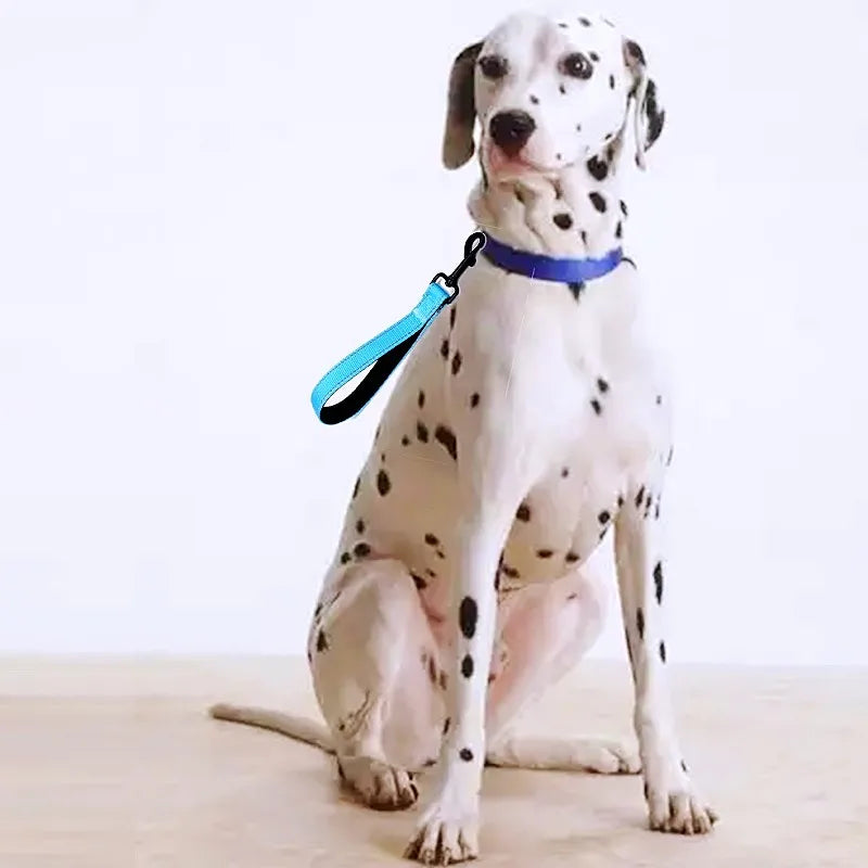 Short Reflective Dog Leash — 25cm