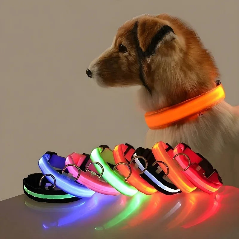 LED Flashing Dog Collar