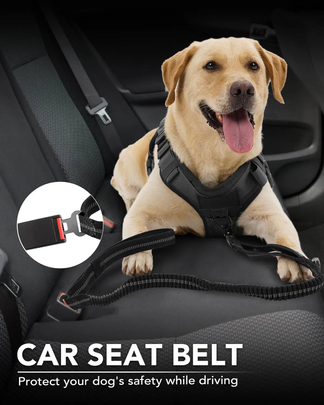 Bungee Dog Leash for Medium & Large Dogs