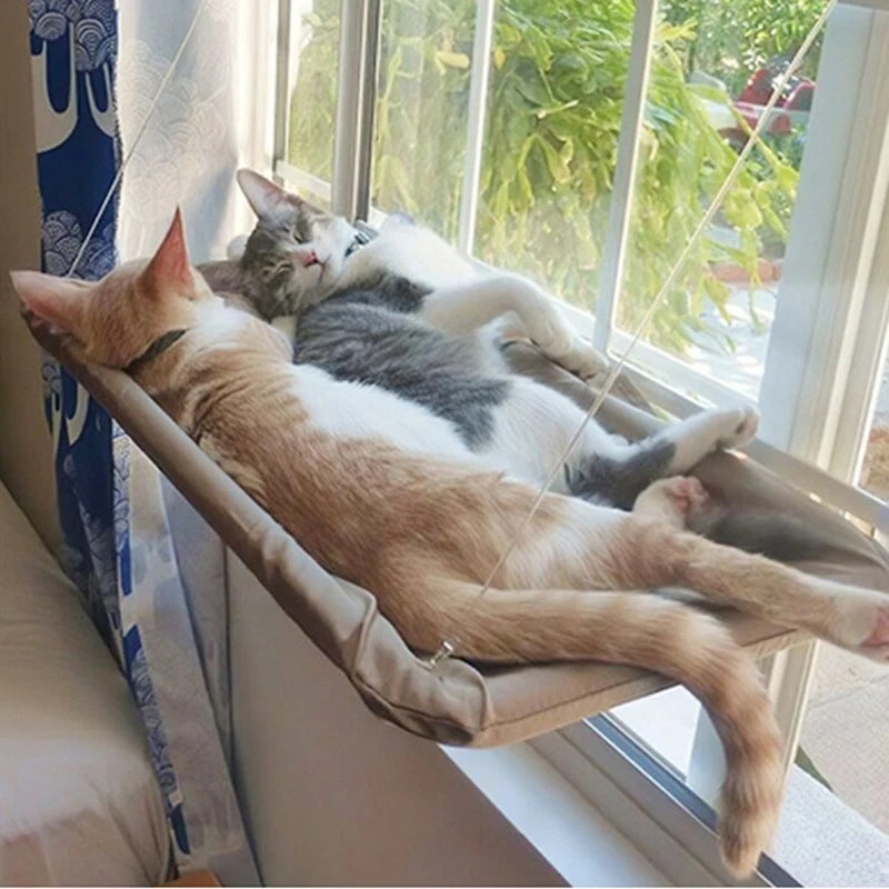 Cat Window Hammock Bed