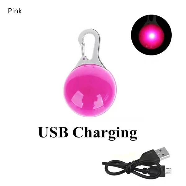 USB Rechargeable LED Dog Collar Pendant