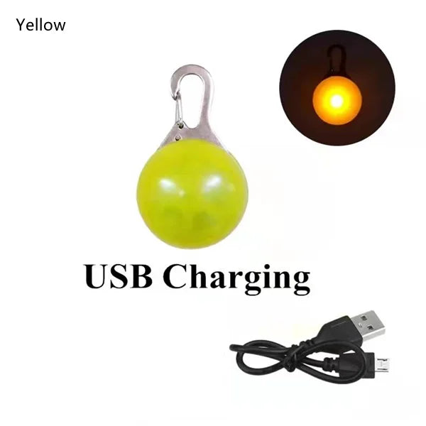 USB Rechargeable LED Dog Collar Pendant
