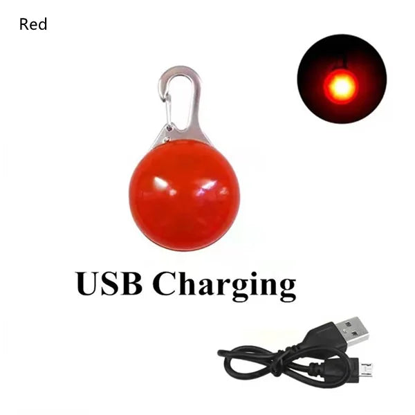USB Rechargeable LED Dog Collar Pendant