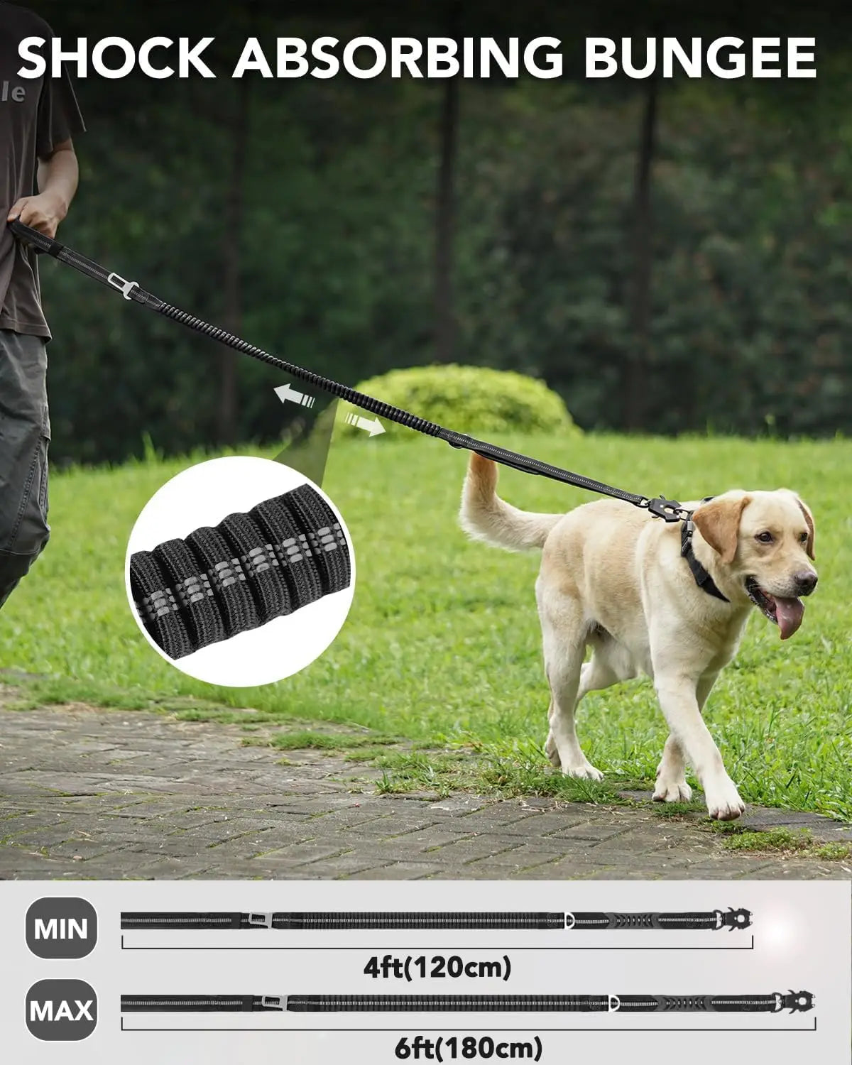 Bungee Dog Leash for Medium & Large Dogs